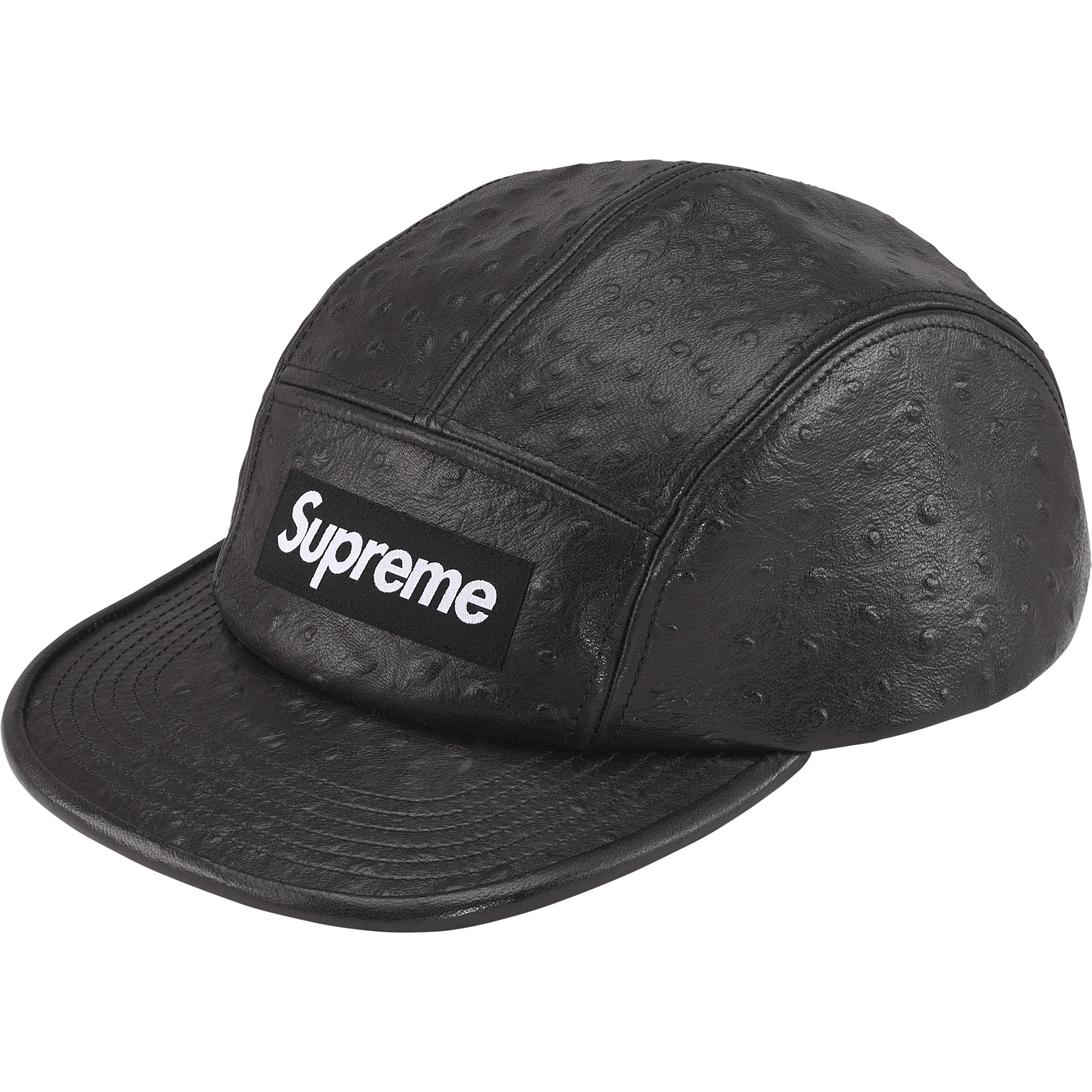 Ostrich Embossed Leather GORE-TEX Camp Cap view 5